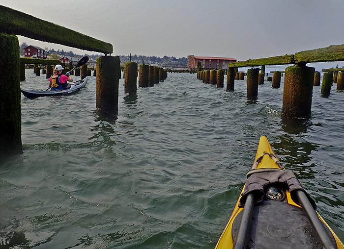 kayaking among old pilings