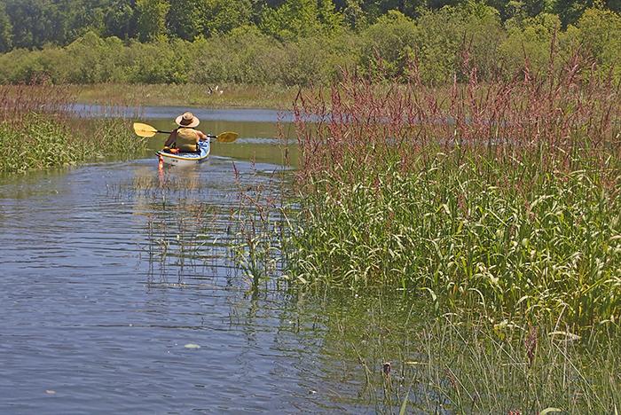 kayaker paddles through the grasses of Brown Slough