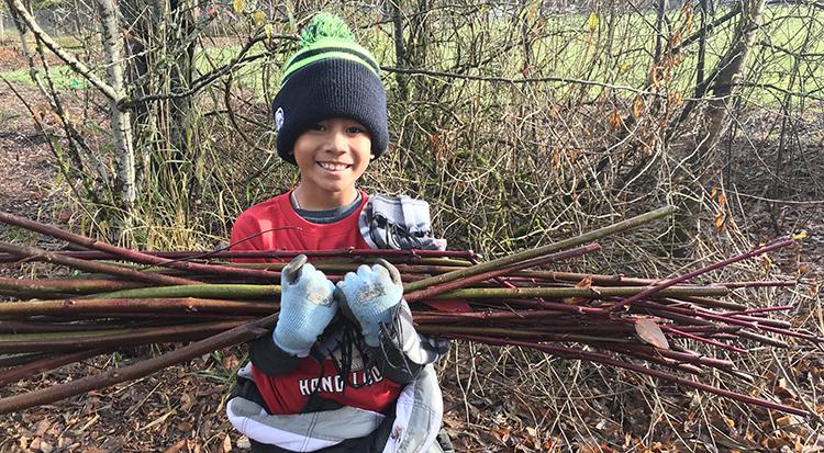 smiling boy holds a bundle of live stakes for planting in his arms