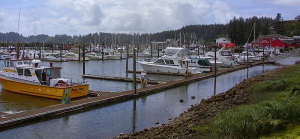 boats moored at the Port of Ilwaco