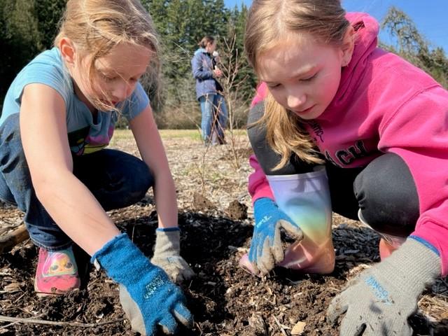 students get up close while planting a tree
