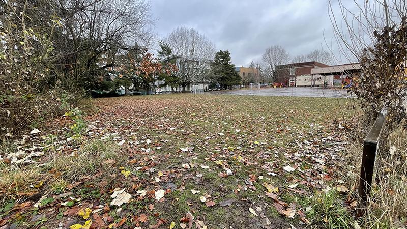 Schoolyard in 2020 shows a grassy field with a few small trees