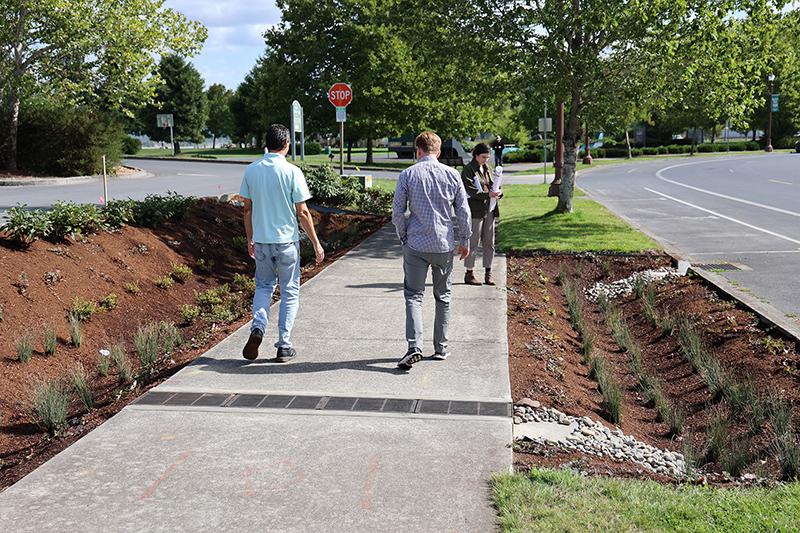 people walk along a sidewalk with a new rain garden on each side