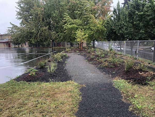 path through a rain garden planted with shrubs and trees