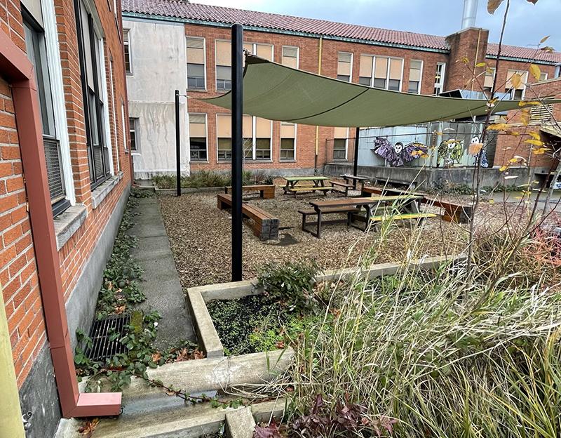 outdoor classroom with a rain garden in the foreground
