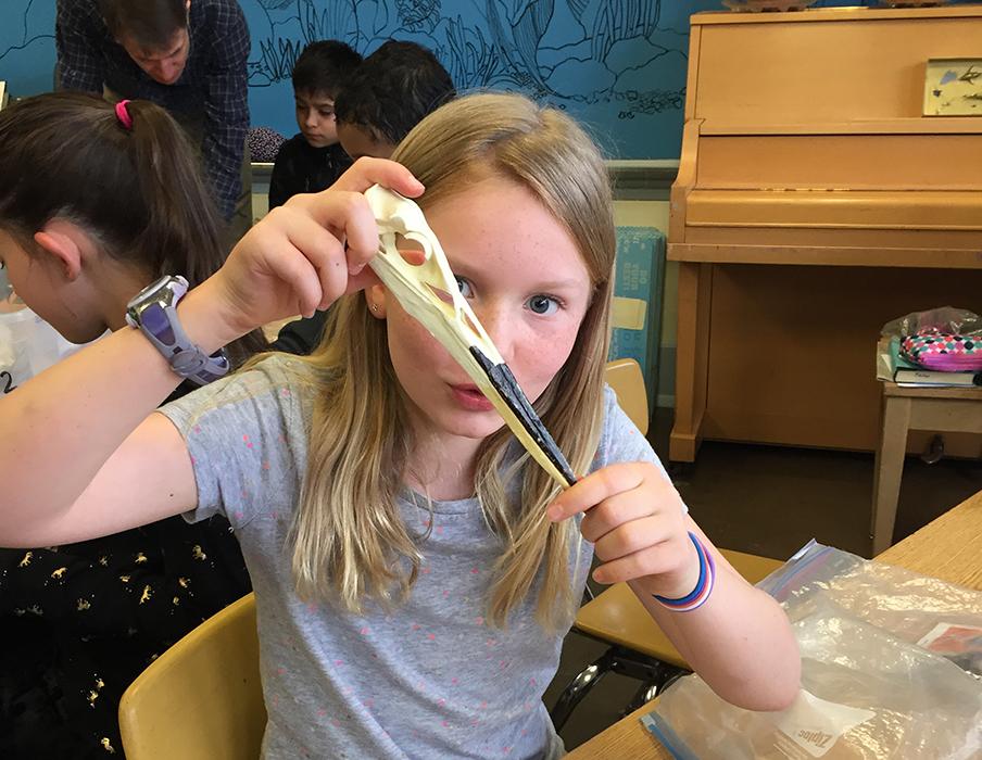 a student holds up a bird skull to examine