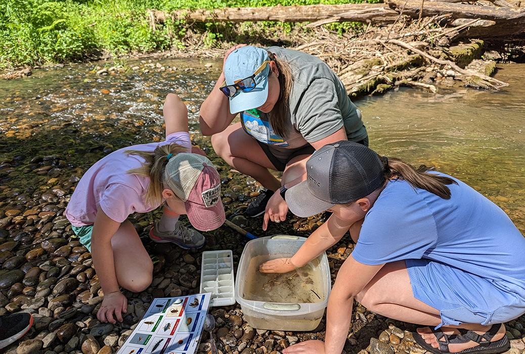 students crouch down to examine stream bugs 
