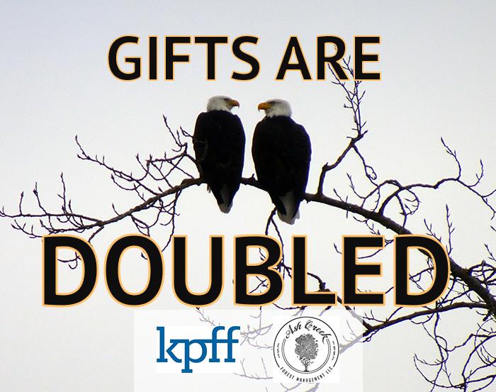 two bald eagles sit directly next to each other and gaze at each other on a tree branch. Text reads "Gifts are Doubled"
