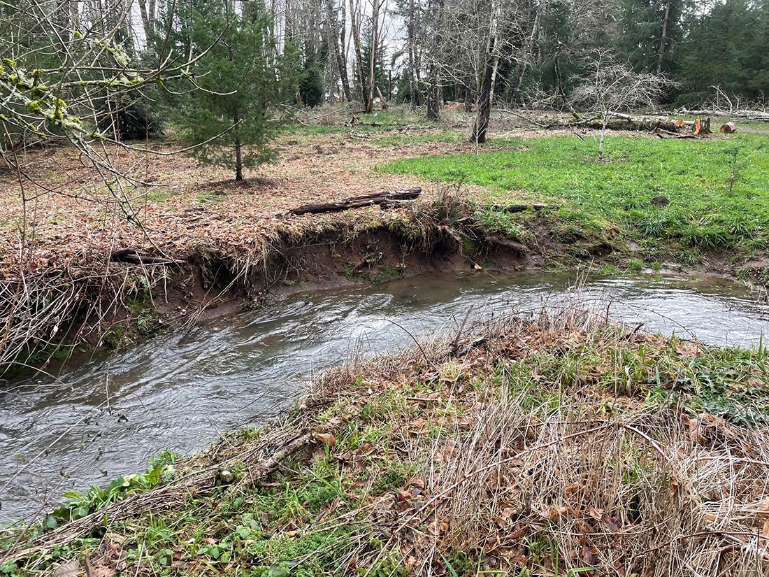 bank erosion along Campen Creek