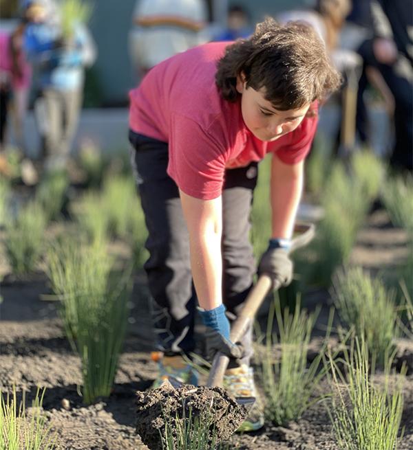 student scoops a shovelful of dirt