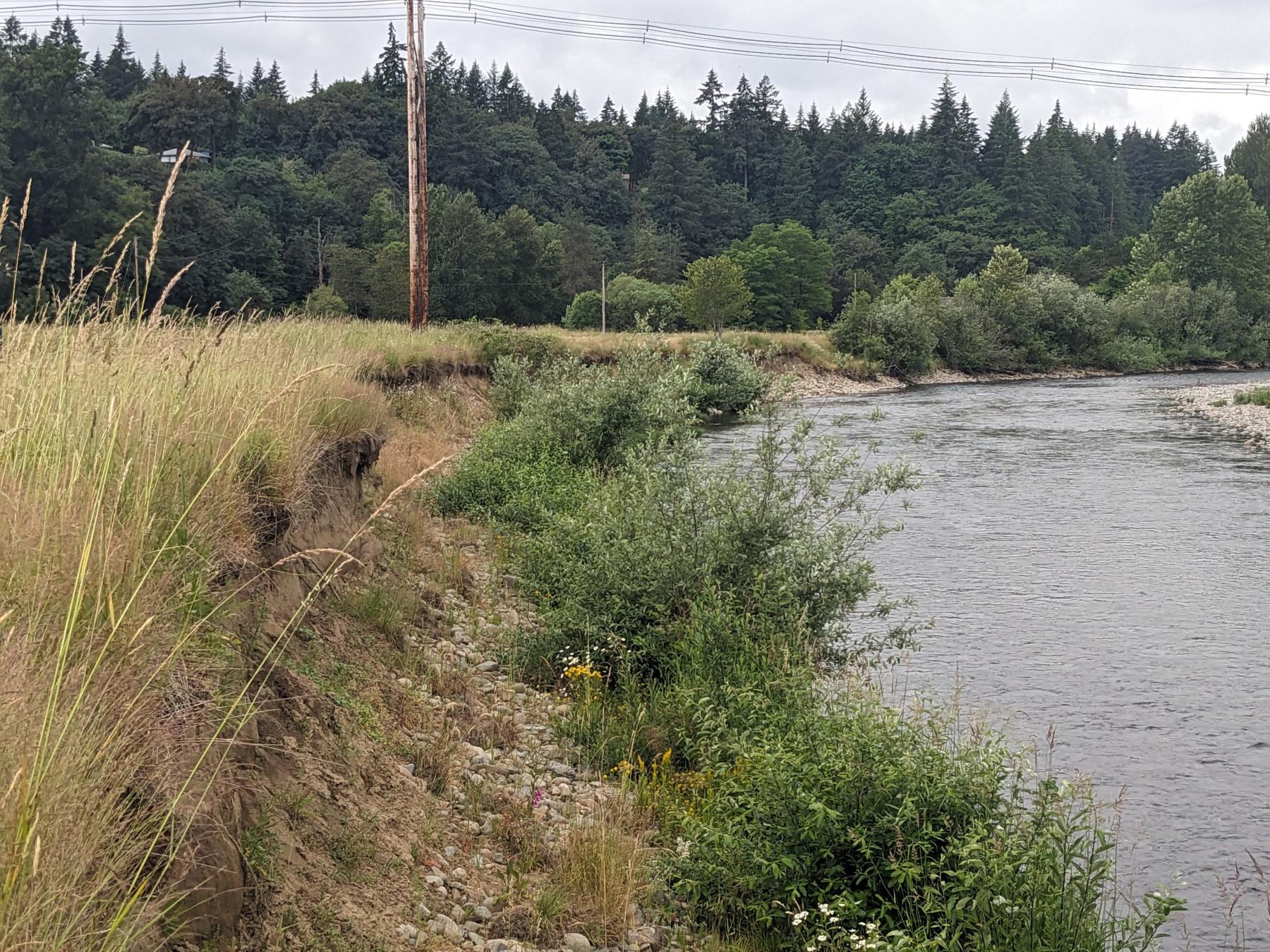 east fork erosion 3