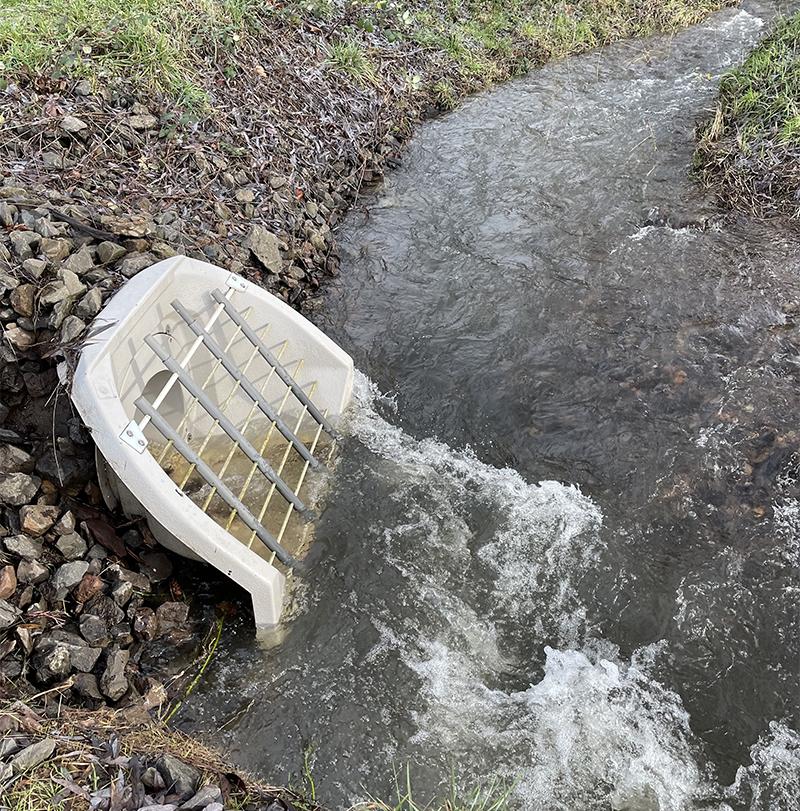 untreated stormwater flows into Campen Creek