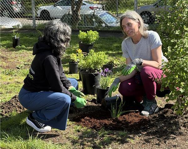 A Depave staff and Congresswoman Dexter squat down to plant a small shrub