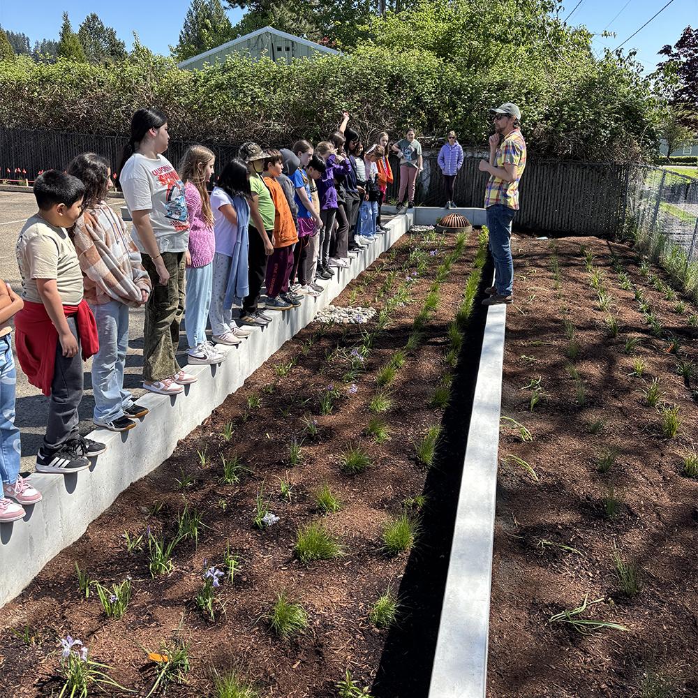 students stand in a line by the new stormwater planter and listen to an instructor
