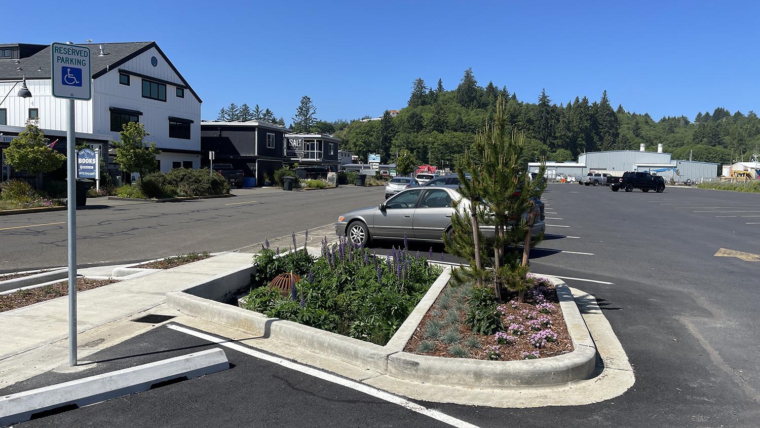 newly constructed biofiltration facility planted with trees and shrubs