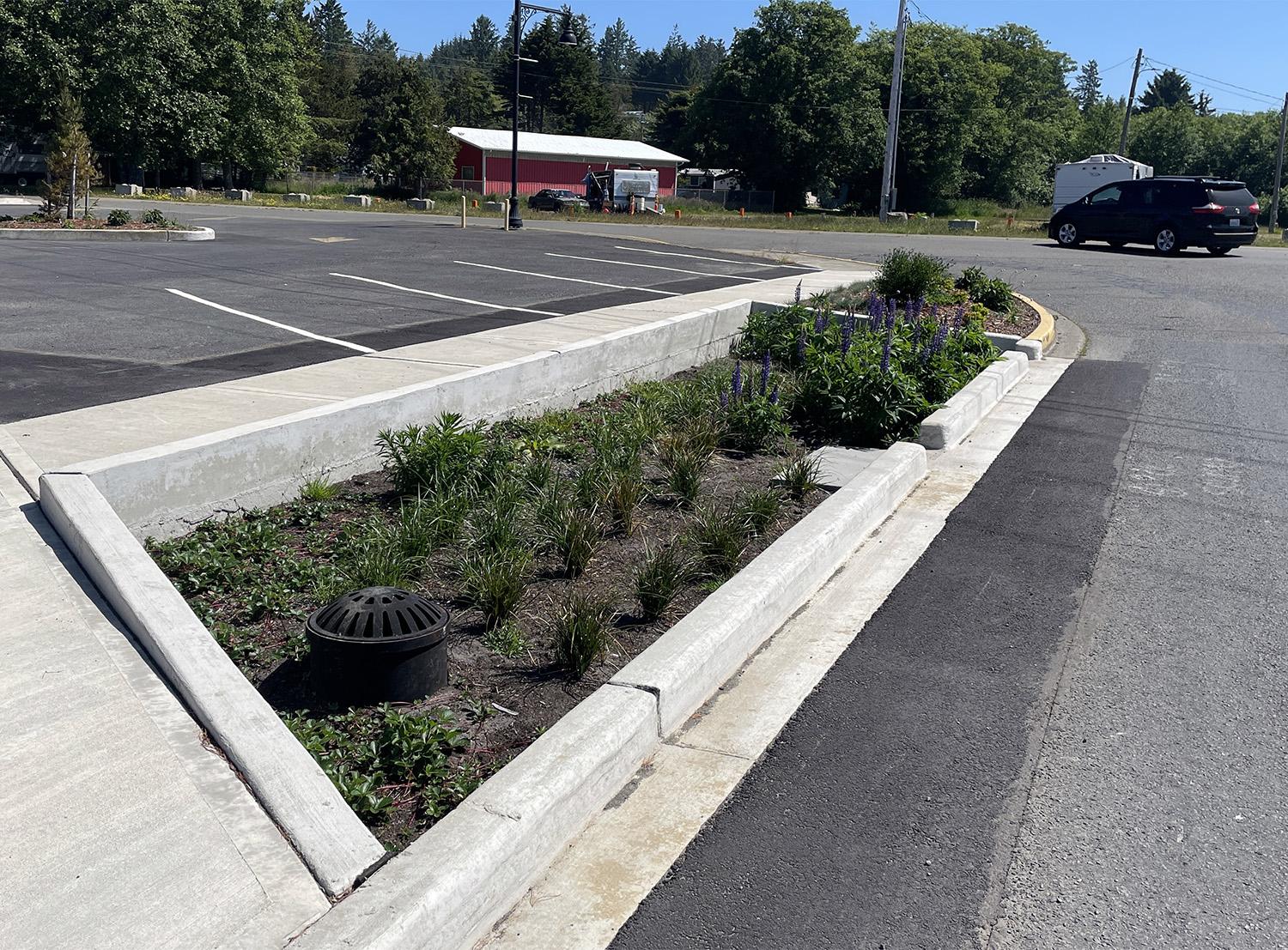 a long biofiltration facility in a parking lot