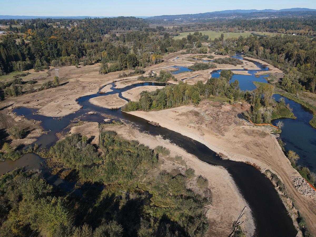 dry floodplain with large wood structures