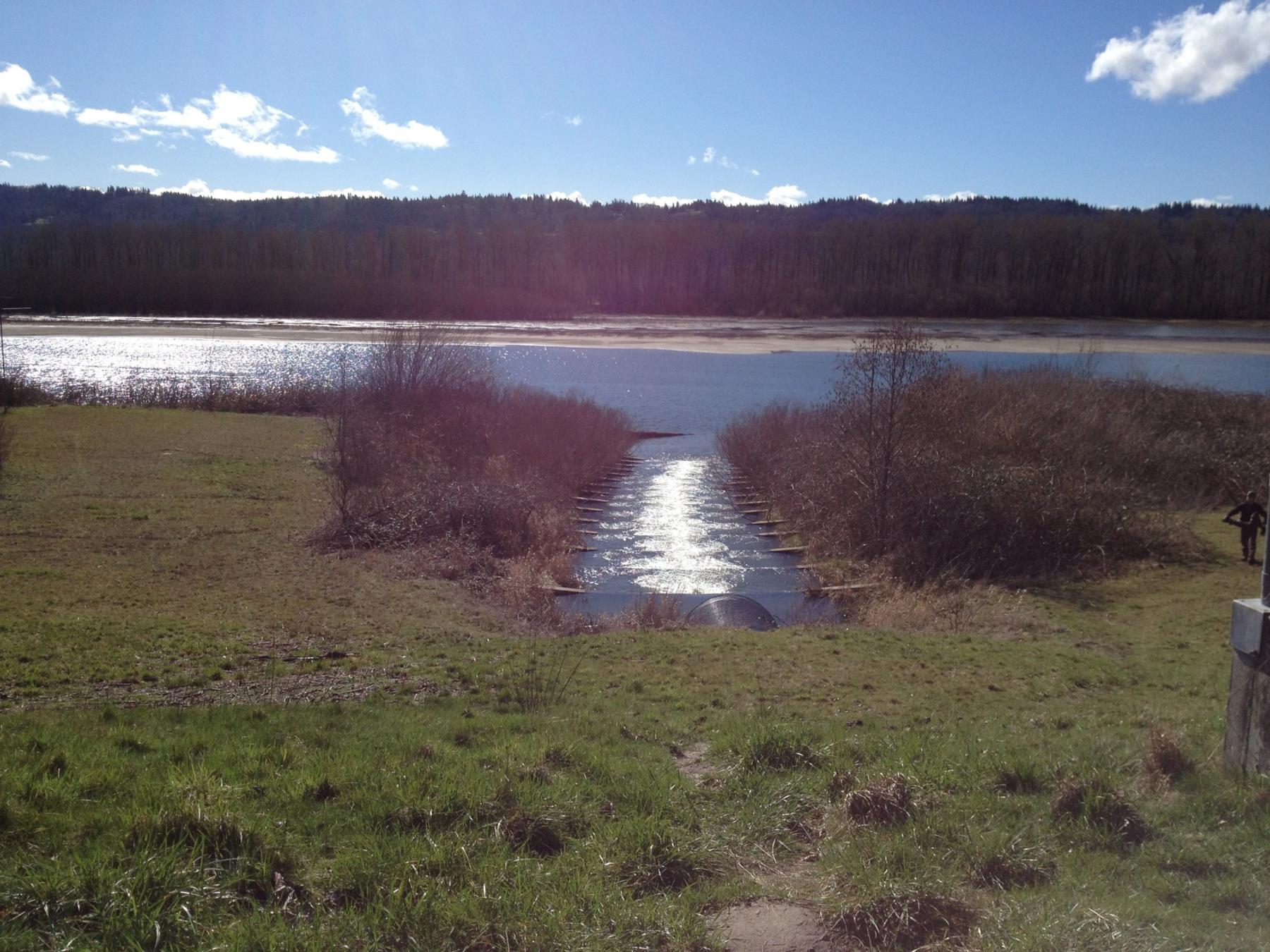 fish ladder leads to a small culvert