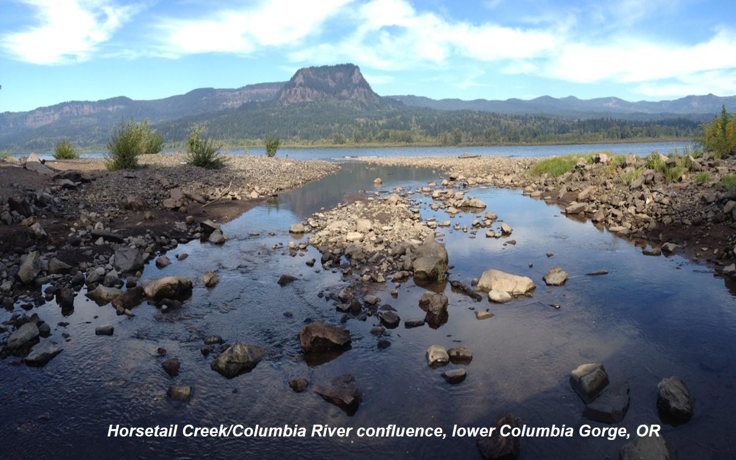 confluence of Horsetail Creek and the Columbia River in the Gorge