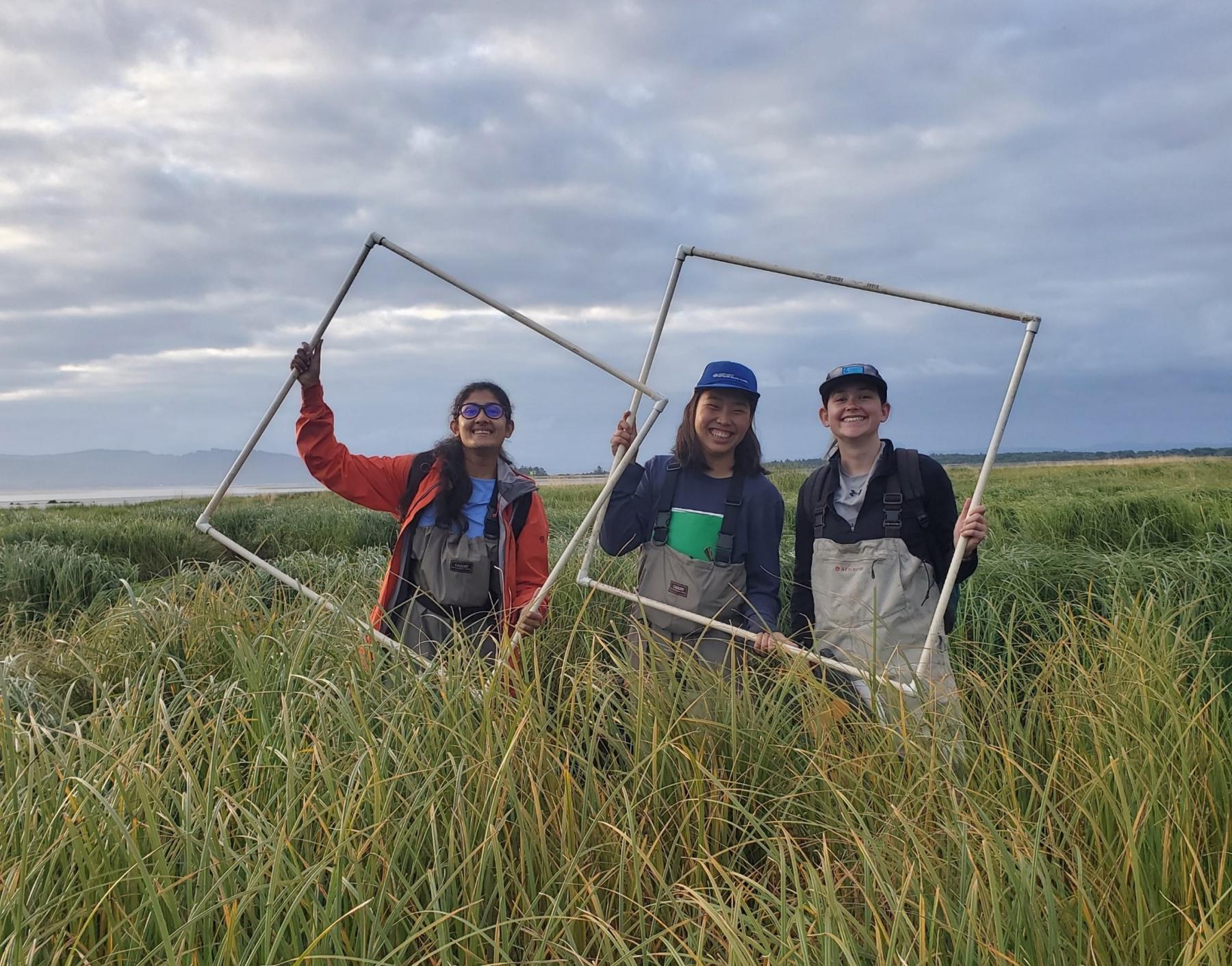 three women stand in tall grass holding quadrats