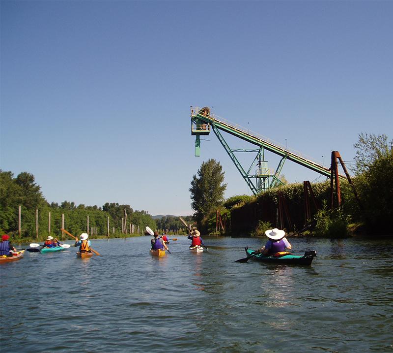 several people in kayaks paddle away from the camera