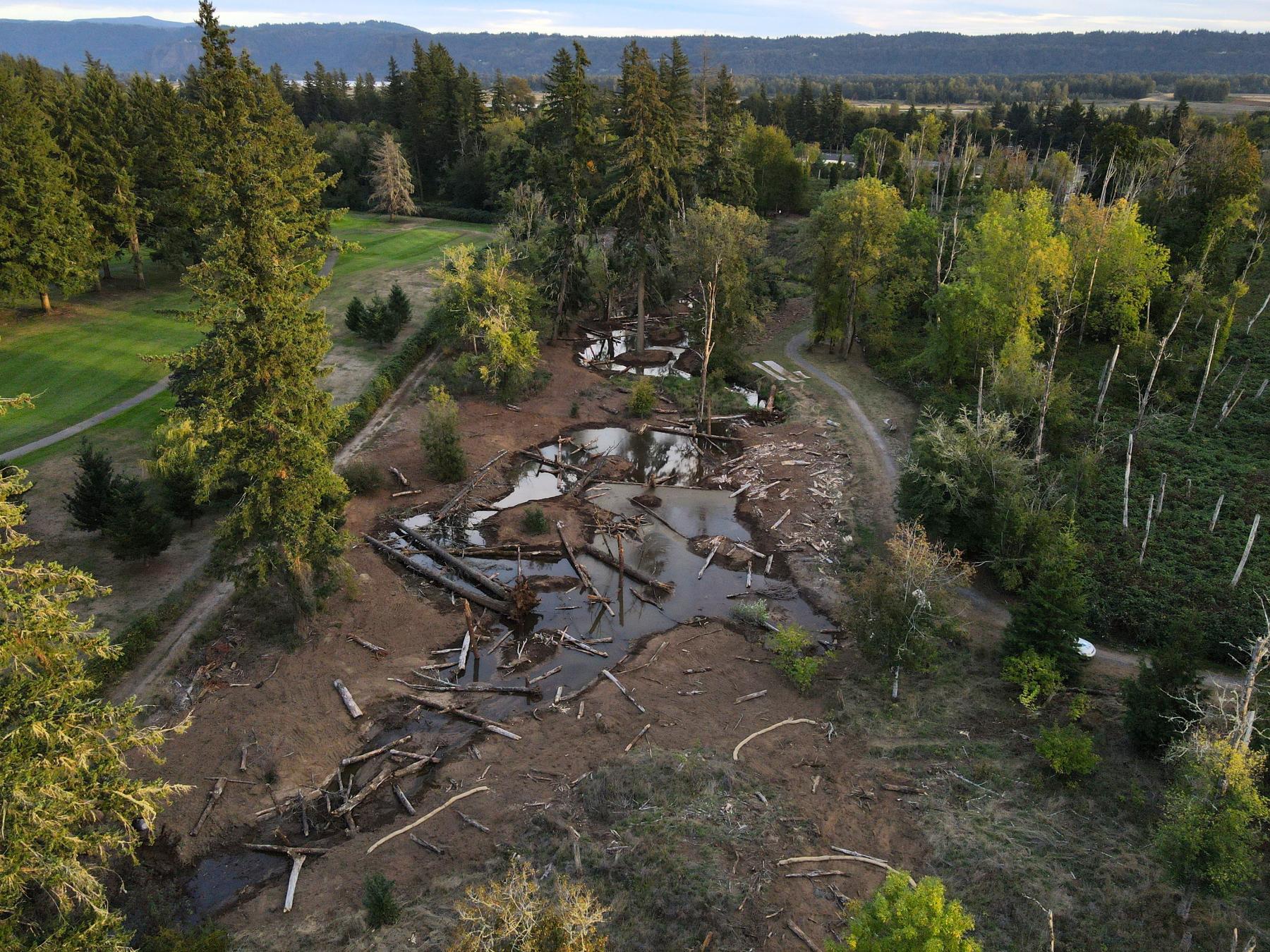 Campen Creek restored floodplain