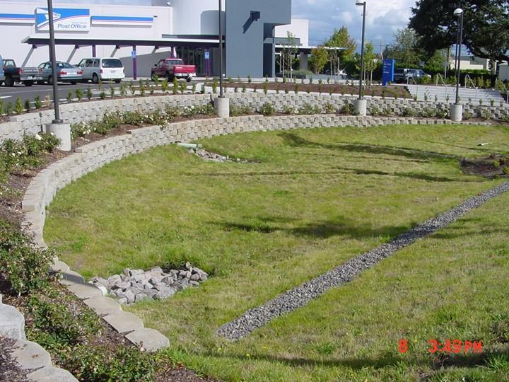 stormwater swale by a parking lot