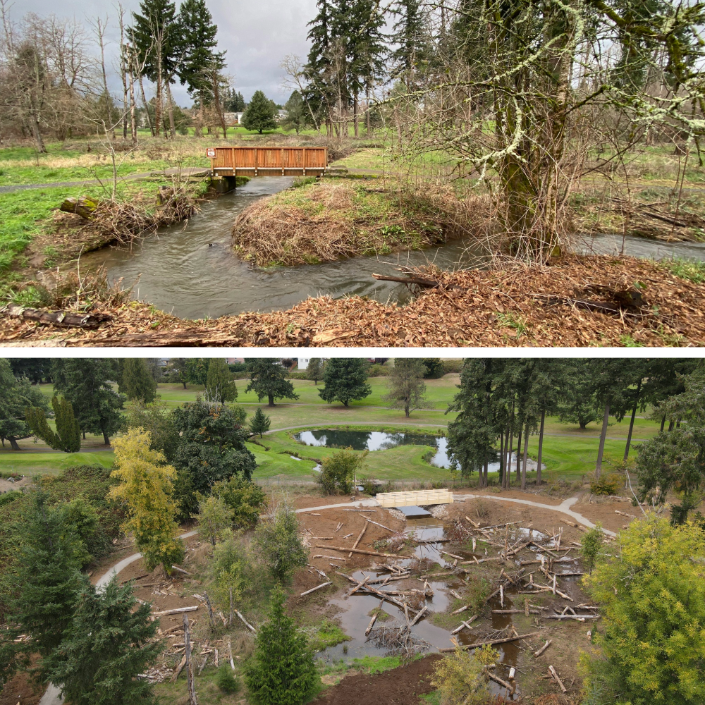 before after campen 2