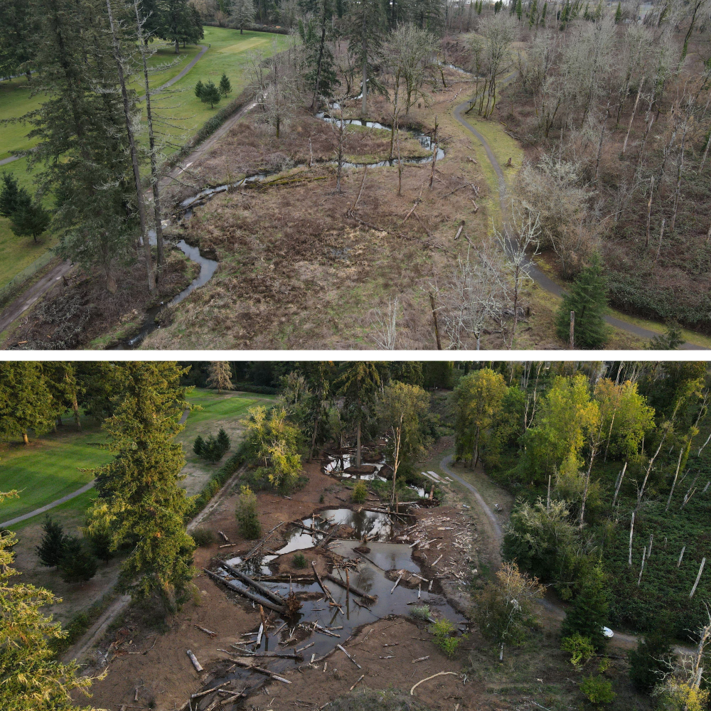 before after campen 4