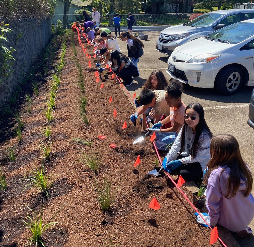 students kneel to plant by a new swale