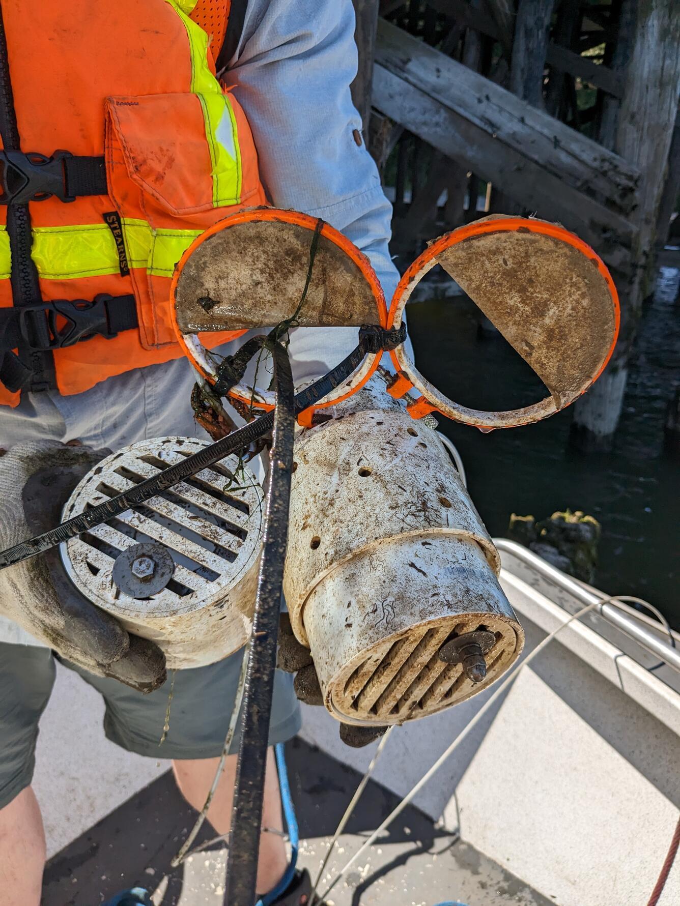 retrieving samplers from the Columbia River
