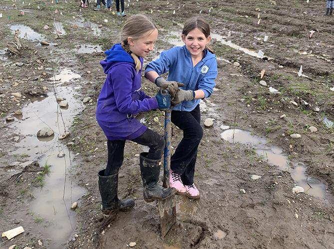 Two girls work together to dig a hole for planting a tree