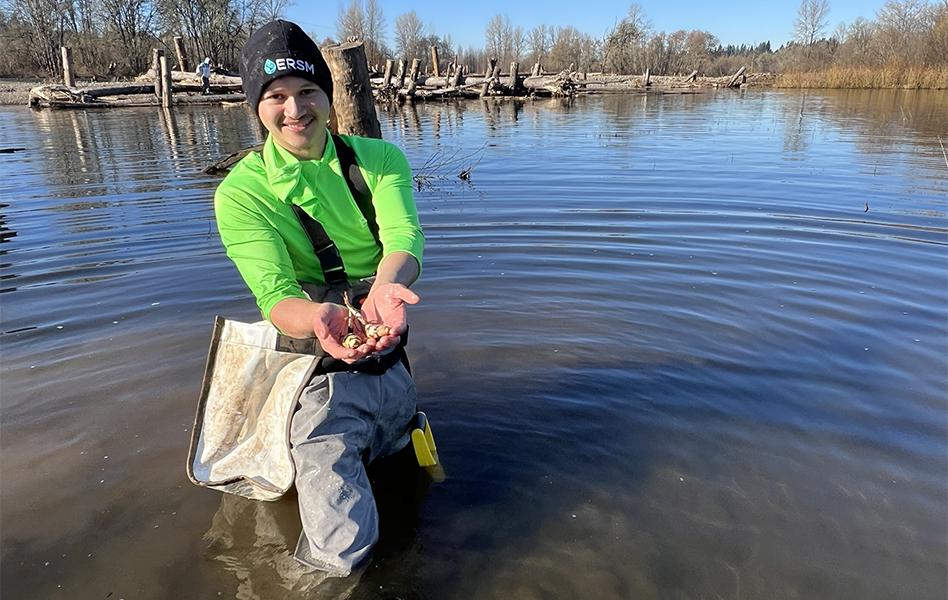 a person in waders stands in the water holding wapato bulbs toward the viewer