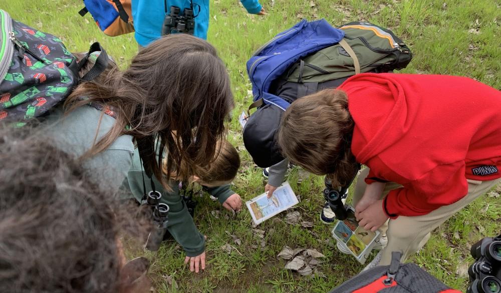 3 students lean over to examine a mushroom with an ID card