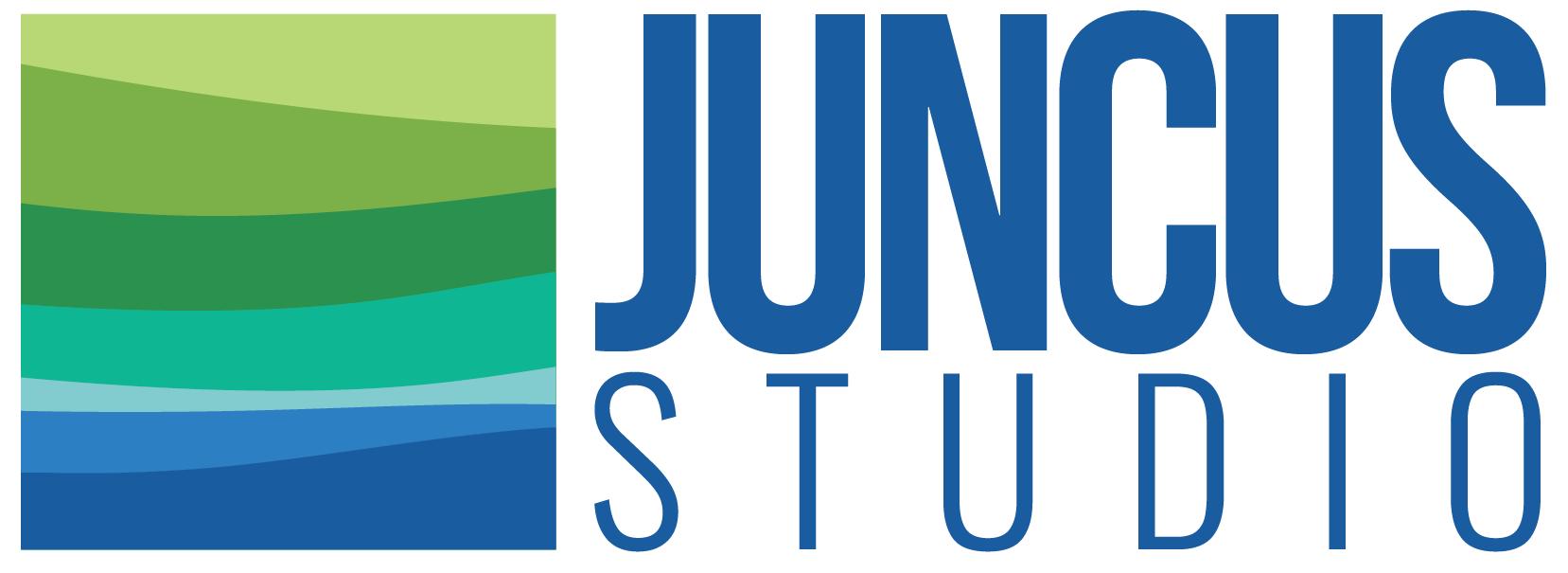 Juncus Studio