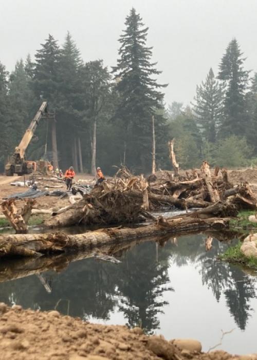 large wood placement in Gibbons Creek