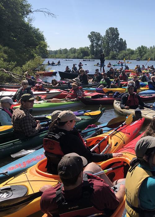 many people in kayaks crowd together in a flotilla