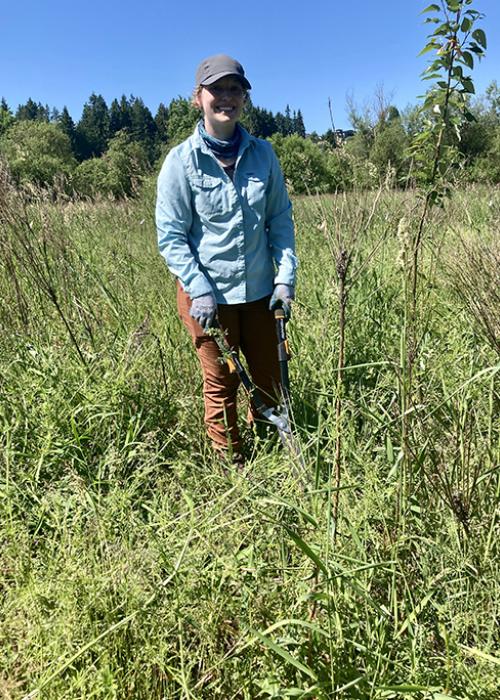 person trims back invasive weeds to help native plants get sun