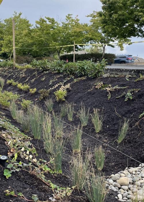 Rainier stormwater