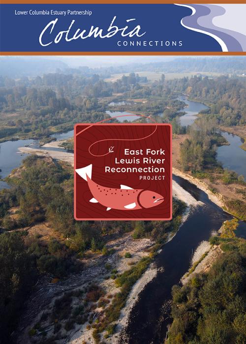 aerial photo of the inundated gravel pits that will be addressed by the East Fork Lewis River Reconnection Project