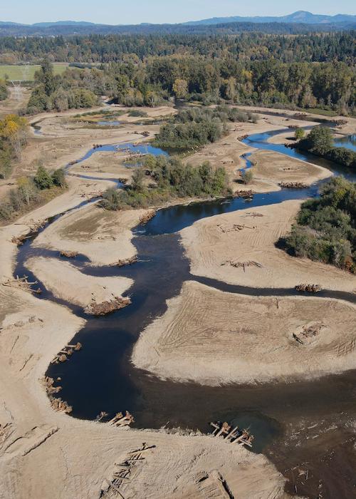 restored floodplain with large wood structures and new side channels