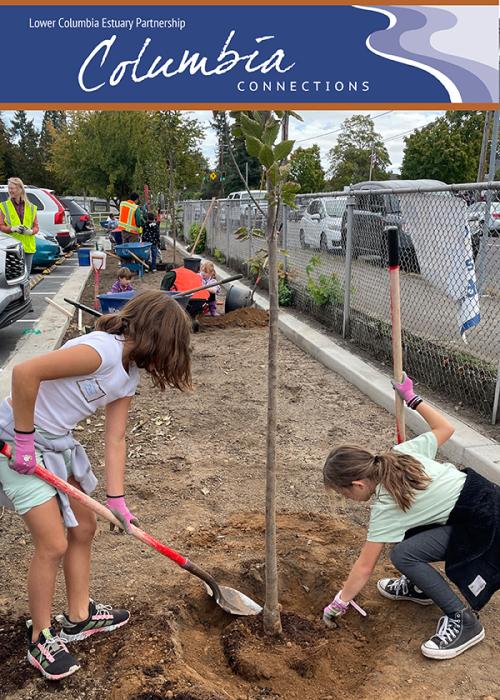 two students plant a tree