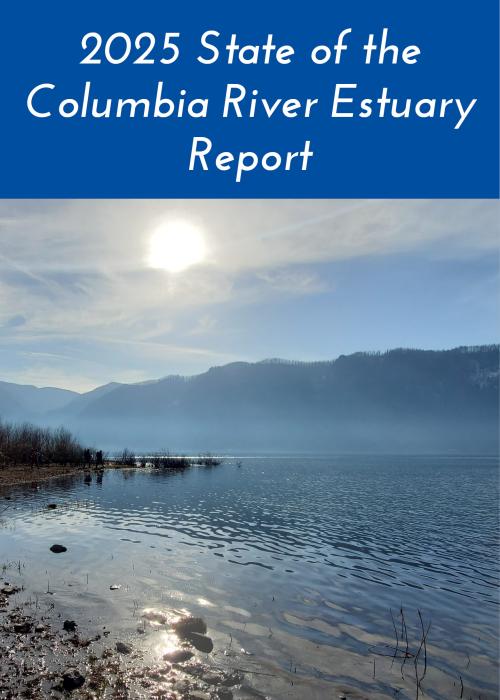 Sun rising over the Columbia River Gorge in winter