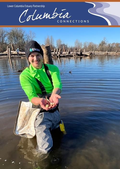 a person stands in the water and holds out two wapato bulbs in their hand