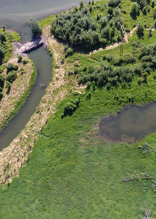 aerial view of a side channel and wetland off Multnomah Channel